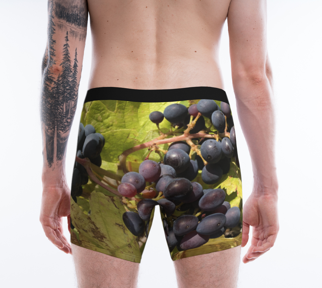 Boxer Briefs for Men: Fall Grapes Design, Back on model