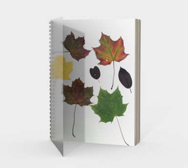 Notebook, Spiral-Bound, Custom Designed with our Fall Leaves Picture, Front