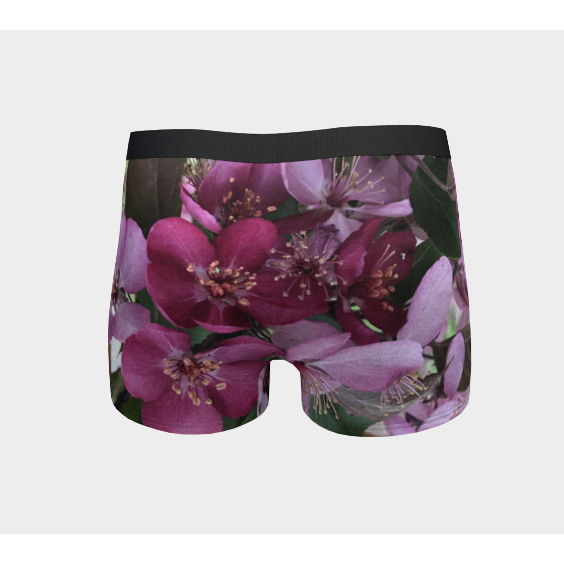 Boy Shorts, Women's Underwear, Flower Petal, Dark Band, Back