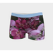 Boy Shorts, Women's Underwear, Flower Petal, Light Band, Front