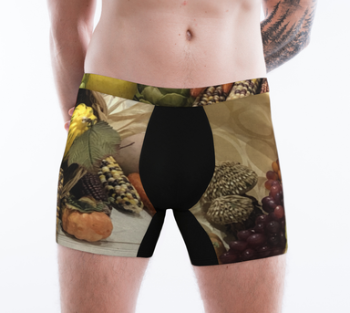 Boxer Briefs for Men: Cornucopia Design, Front on Model