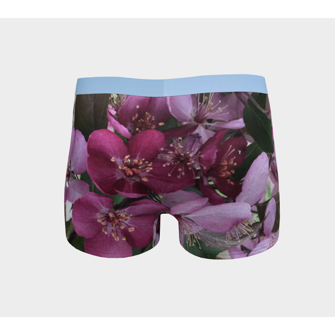 Boy Shorts, Women's Underwear, Flower Petal, Light Band, Back