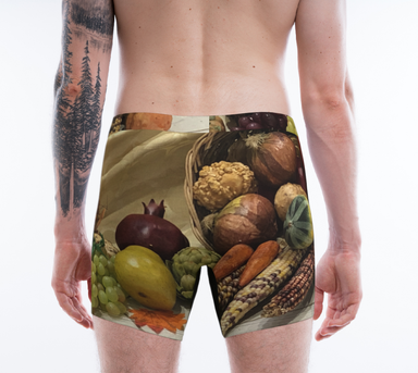 Boxer Briefs for Men: Cornucopia Design, Back on Model