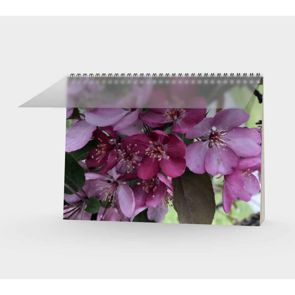 Notebook, Spiral-Bound, Custom Designed with our Flower Petal Picture, Front