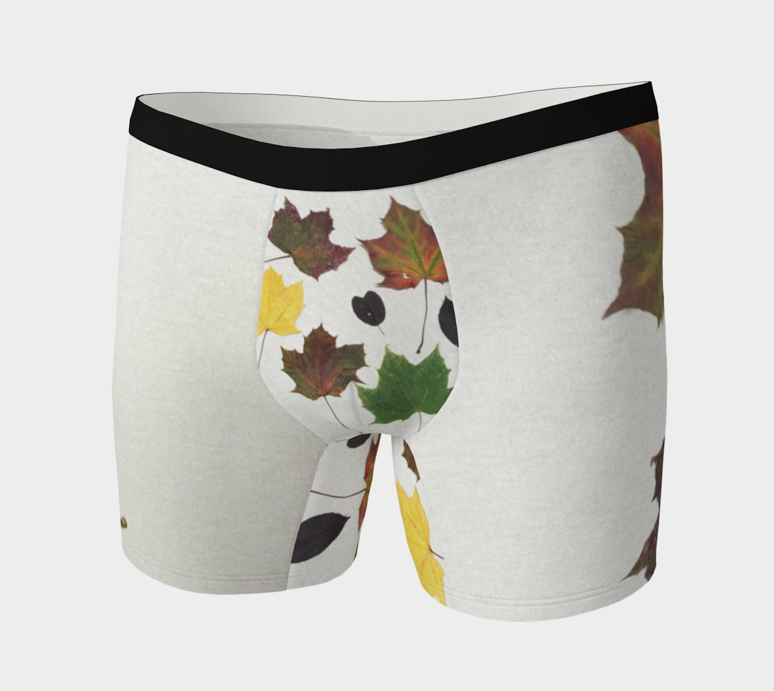 Boxer Briefs for Men: Fall Leaves Design, Front View