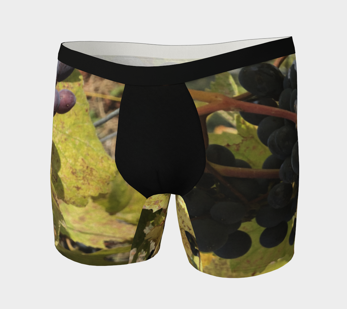 Boxer Briefs for Men: Fall Grapes Design, Front View