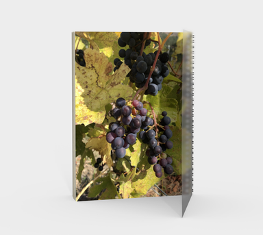 Notebook, Spiral-Bound, Custom Designed with our Fall Grapes Picture, Back