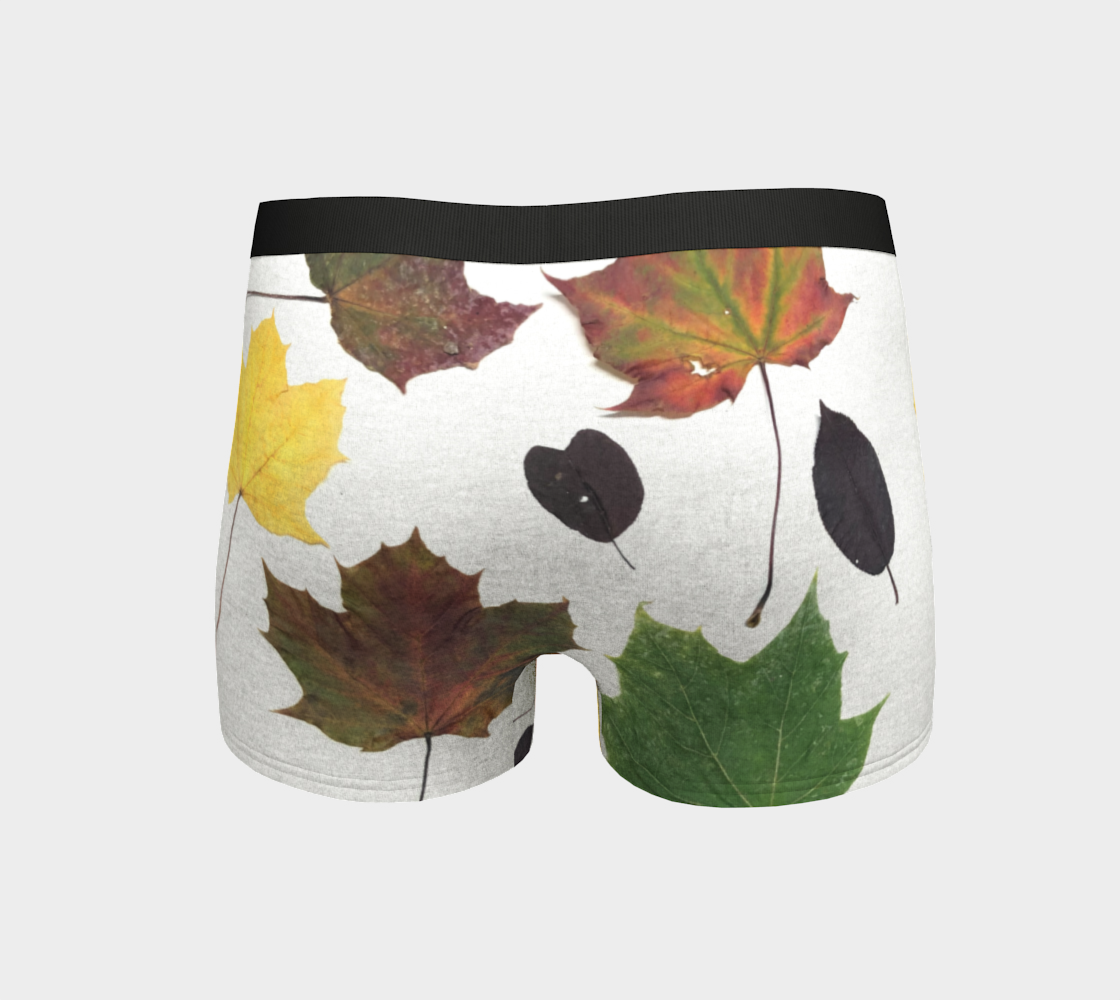 Boy Shorts, Women's Underwear, Fall Leaves, Back View