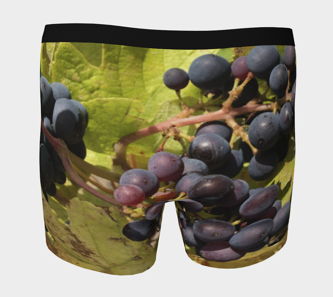 Boxer Briefs for Men: Fall Grapes Design, Back View