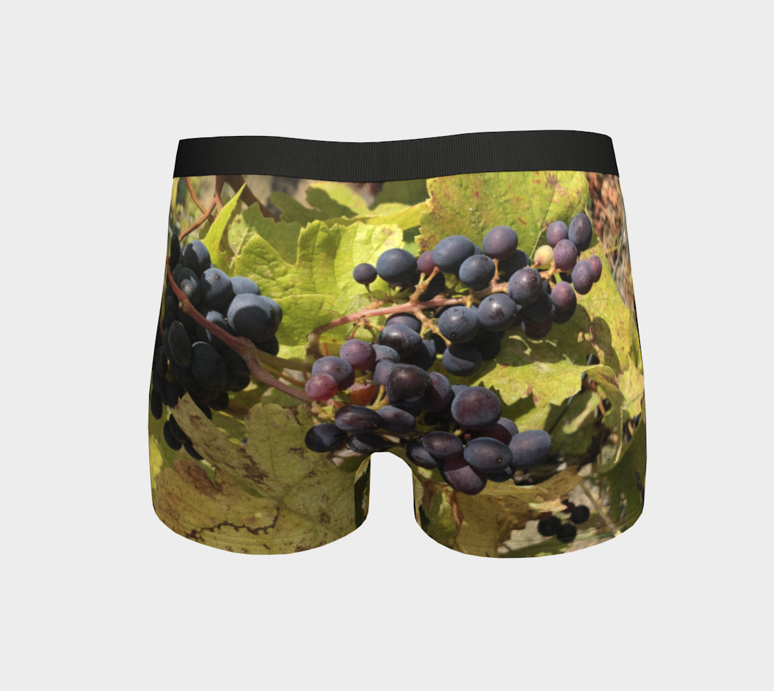 Boy Shorts, Women's Underwear, Fall Grapes, Back view