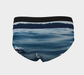 Cheeky Briefs, Women's Underwear, Blue Lake Design, Back