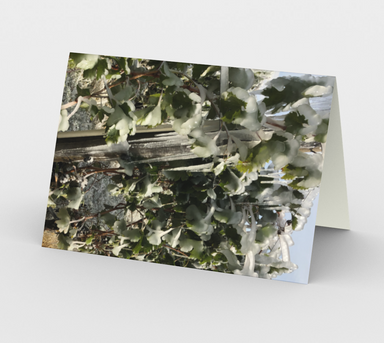 Stationery Card with our Frozen Vines Picture, Front
